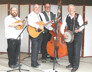 bluegrass fever